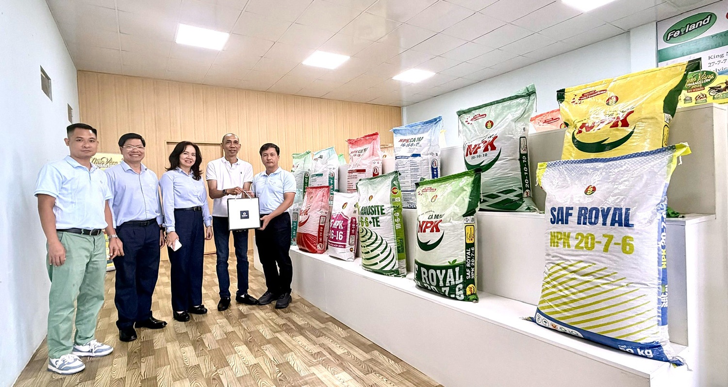 PVCFC mở rộng không gian tăng trưởng: Kết nối thị trường, tiến sâu hơn vào vùng nguyên liệu PVCFC mở rộng không gian tăng trưởng: Kết nối thị trường, tiến sâu hơn vào vùng nguyên liệu