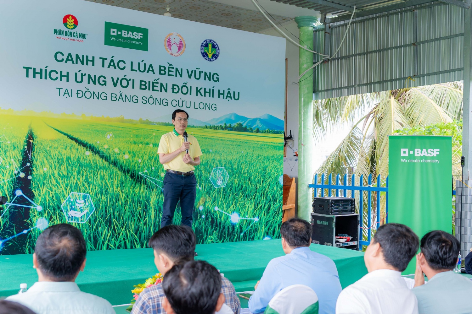 Phân bón Cà Mau mở lối canh tác lúa thích ứng biến đổi khí hậu