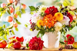 Tử vi tuần mới 12/10 - 18/10/2026: Tuổi Tỵ nắm bắt cơ hội, tuổi Dậu củng cố nền tảng