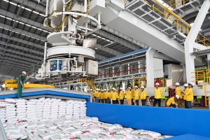 Phân bón Cà Mau: Hành trình khám phá nơi khởi nguồn những “Hạt ngọc mùa vàng”