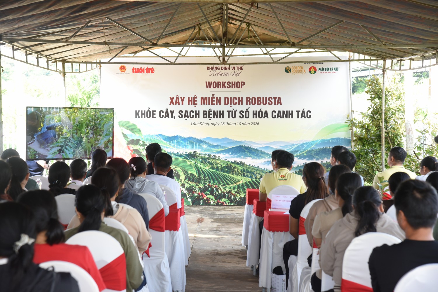 Nâng chất Robusta Việt: Phân bón Cà Mau đưa công nghệ số vào quản lý canh tác tại vùng trồng