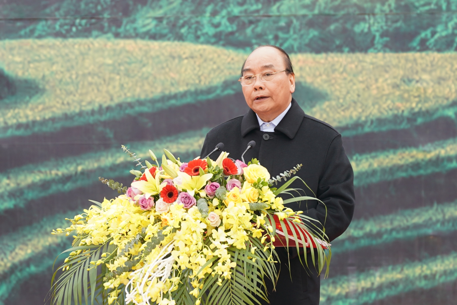 thu tuong phat dong tet trong cay doi doi nho on bac ho