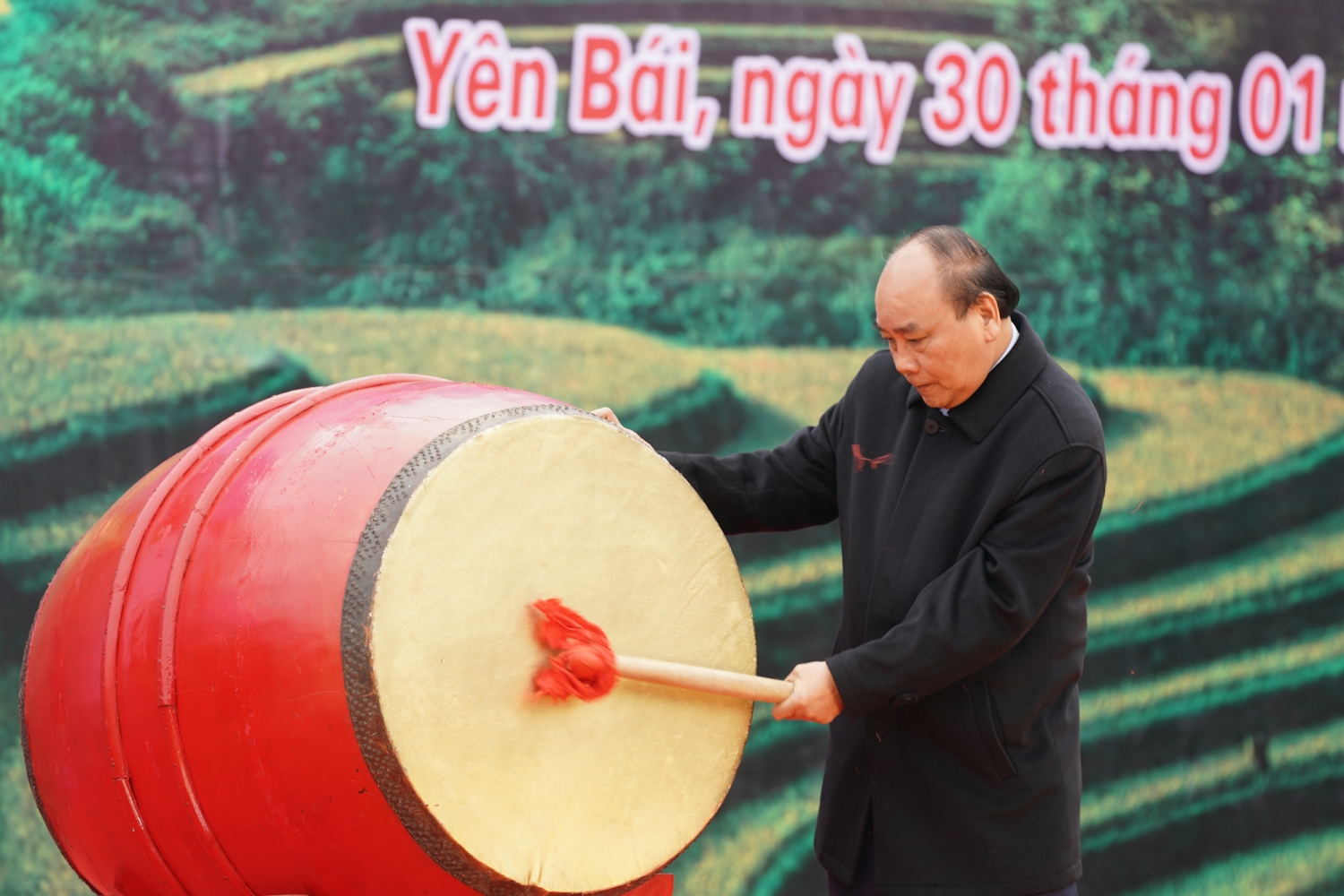 thu tuong phat dong tet trong cay doi doi nho on bac ho