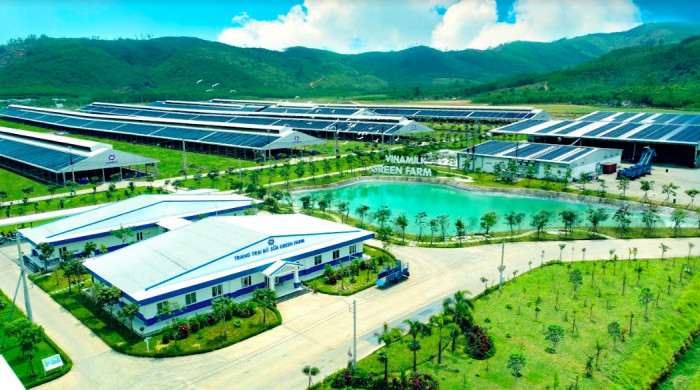 giám đốc kinh doanh ssi đánh giá tích cực về cổ phiếu vinamilk
