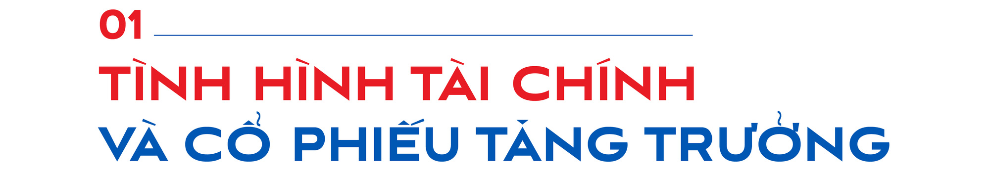 PSD tạo nên góc nhìn khác biệt về một doanh nghiệp có yếu tố nhà nước - Ảnh 2.