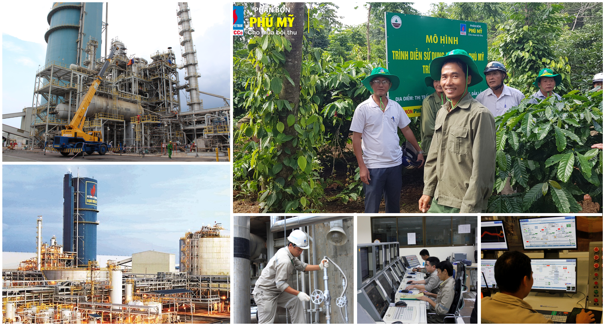 e magazine dang bo pvfcco nhiem ky 2015 2020 phat huy suc manh noi luc de thanh cong