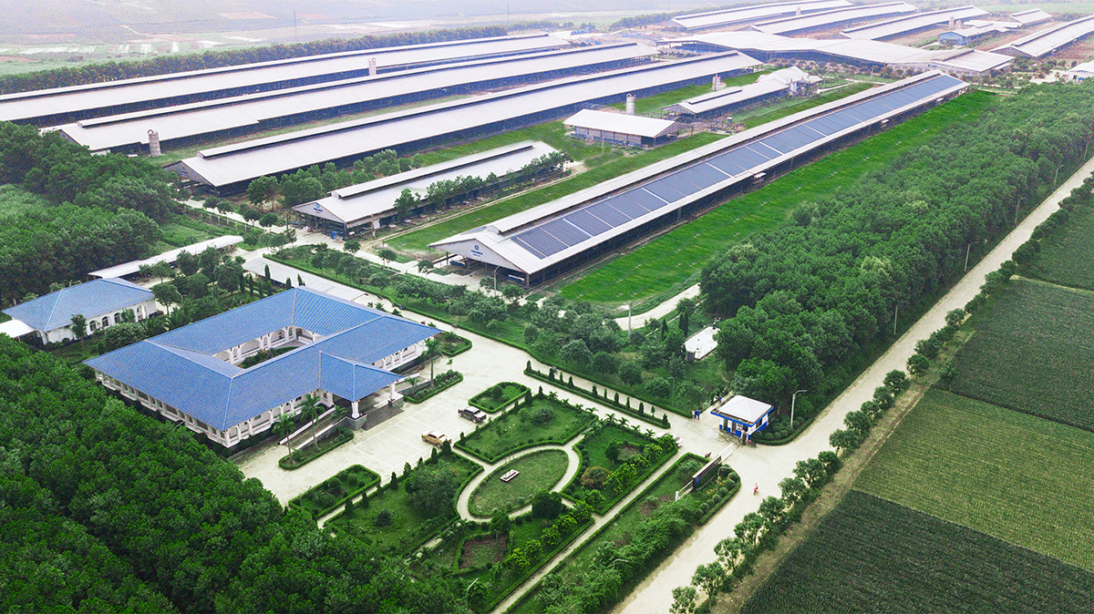 Dấu ấn mang tên Vinamilk trong hành trình 10 năm Top 50 doanh nghiệp niêm yết tốt nhất của Forbes Việt Nam - 5