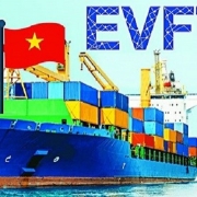 Biểu thuế xuất nhập khẩu ưu đãi của Việt Nam để thực hiện EVFTA