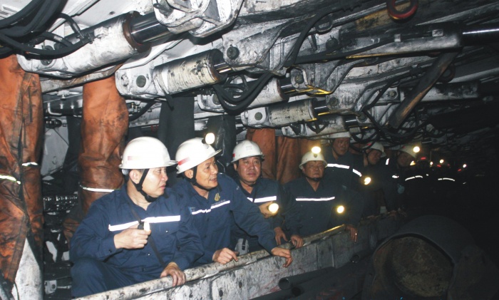 tkv tang cuong co gioi hoa