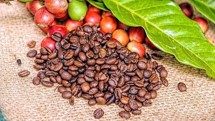Giá cà phê Robusta giảm 1.35% trong phiên giao dịch ngày 8/1