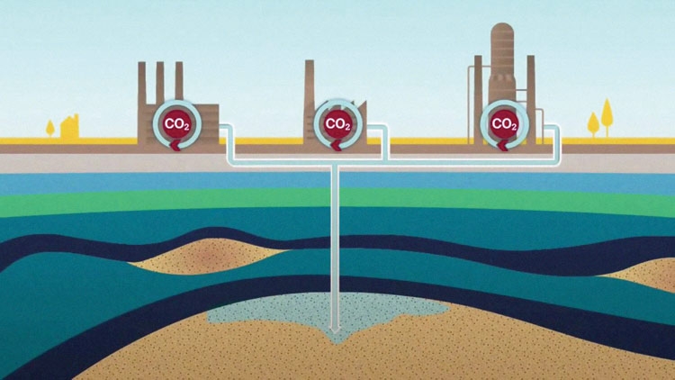 Trung hoà Carbon: Đánh tráo khái niệm hay giải pháp xanh đúng nghĩa?
