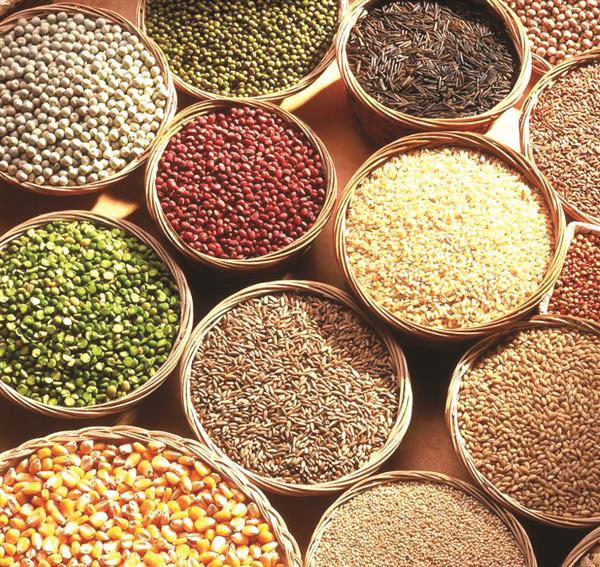 Ảnh minh hoạ,https://kinhtexaydung.petrotimes.vn