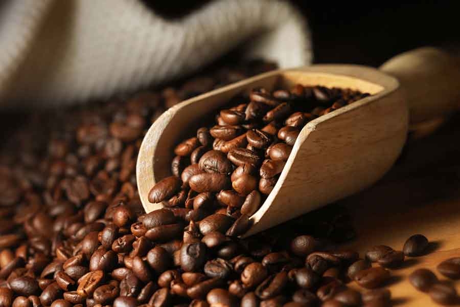 Giá cà phê hôm nay 15/6: Robusta xuống dưới mốc 1.600 USD/tấn