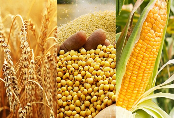 Ảnh minh hoạ.https://kinhtexaydung.petrotimes.vn