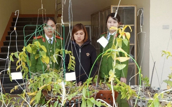 Lan đột biến & cái sự 