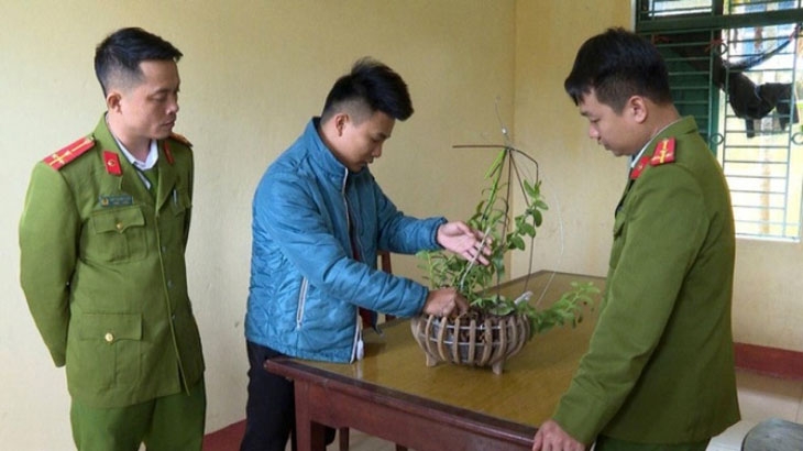 Lan đột biến & cái sự 