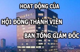 hoat dong cua hoi dong thanh vien pvn