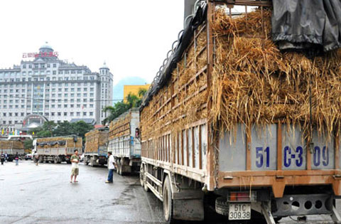 “Làm ăn hai chữ quen mà lạ”