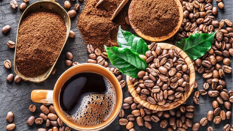 Giá cà phê Robusta là điểm sáng ở thị trường hàng hóa trong phiên 20/9
