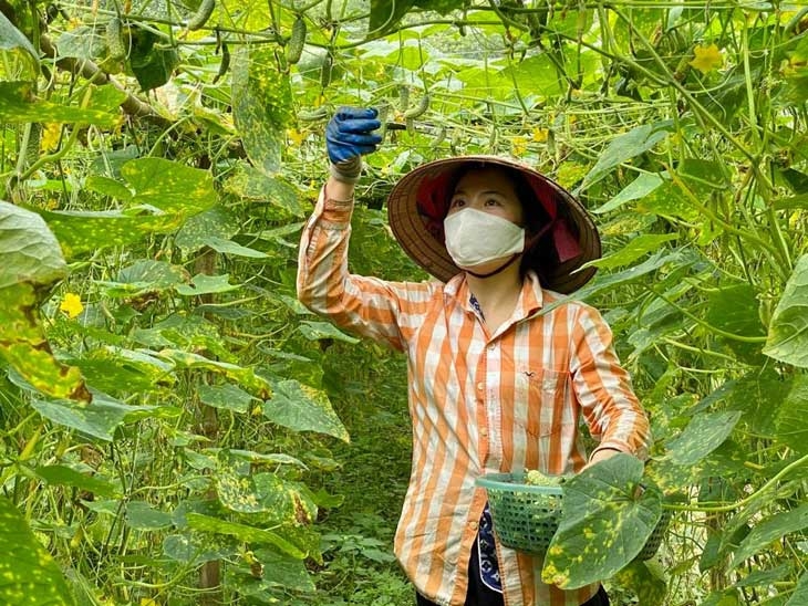 Chuỗi cung ứng nông sản - Đòi hỏi bức thiết