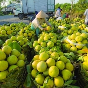 Chuỗi cung ứng nông sản - Đòi hỏi bức thiết