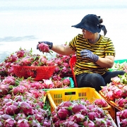 tiep tuc thuc day thuong mai tu do asean hong cong trung quoc