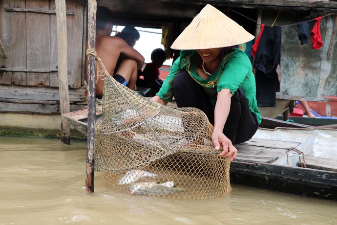 ha long khat vong doi doi
