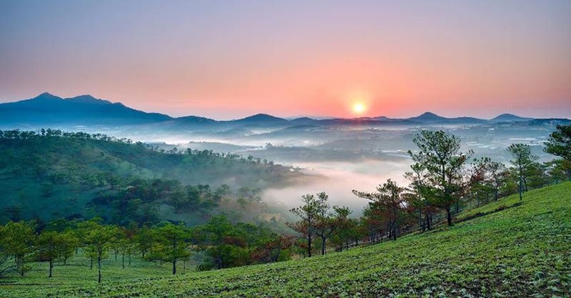 Rong ruổi Phương Nam: Thành phố thông reo Rong ruổi Phương Nam: Thành phố thông reo