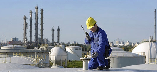 bung no san pham hoa dau trong tuong lai