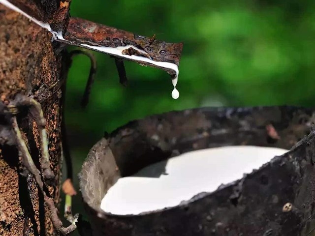 Ảnh minh hoạ.https://kinhtexaydung.petrotimes.vn
