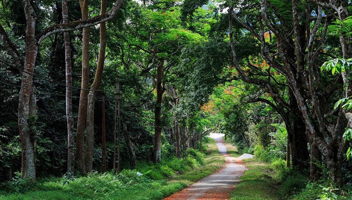mach ban nhung diem vui choi cuoi tuan ly tuong gan ha noi