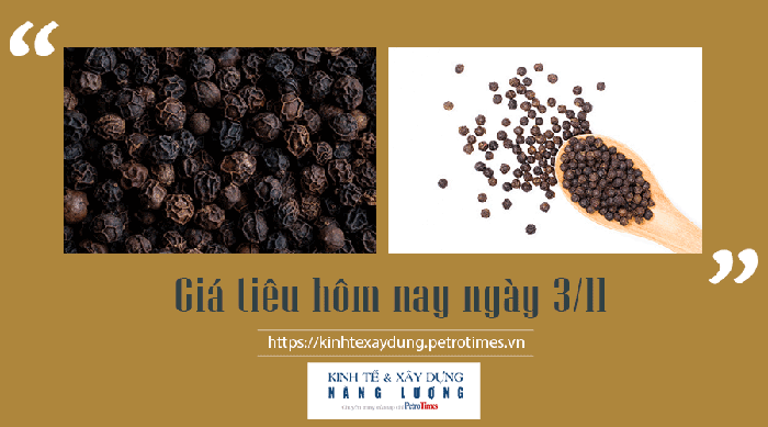 Giá tiêu hôm nay 3/11 Giá tiêu hôm nay 3/11