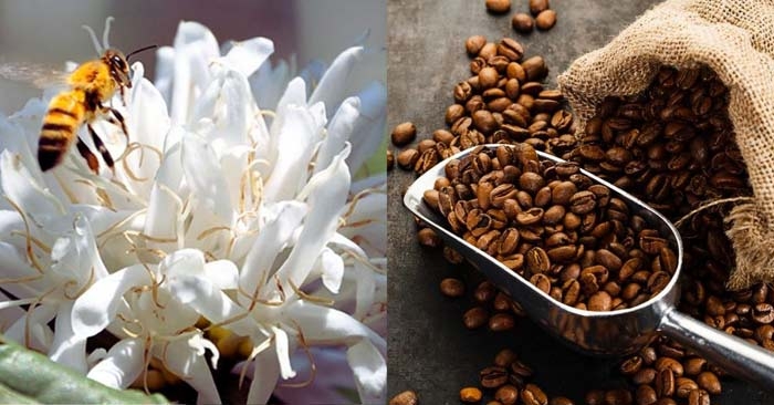 Ảnh minh họa.https://kinhtexaydung.petrotimes.vn