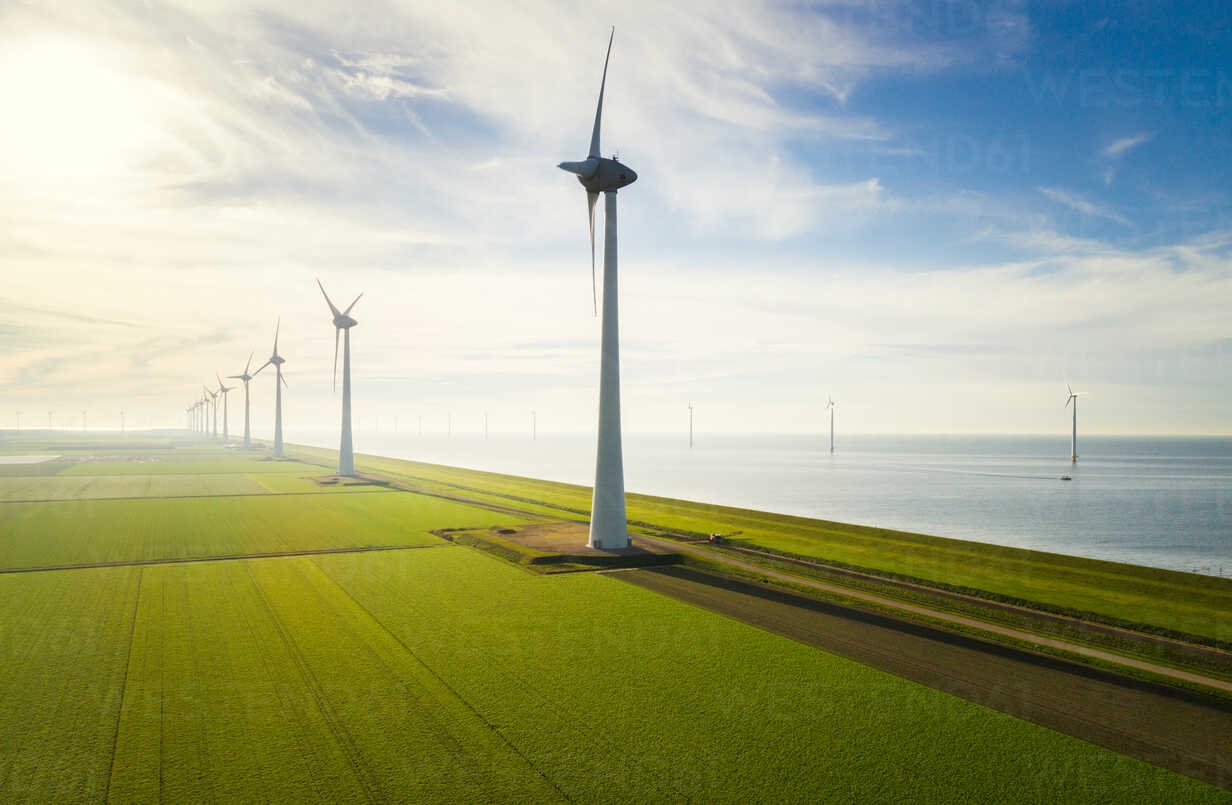Cần tăng cường điện gió để đạt mục tiêu Net Zero
