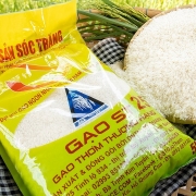 Thương vụ Việt Nam tại Australia quyết liệt đòi lại thương hiệu gạo ST 24, ST 25