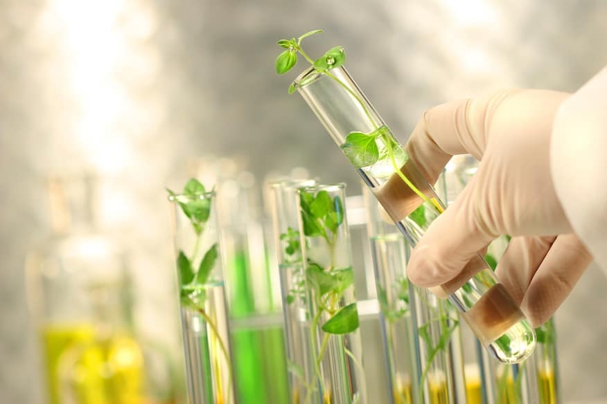Bộ Công Thương chủ trì phát triển công nghệ sinh học đến năm 2030