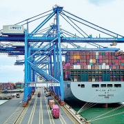 Tin tức kinh tế ngày 7/1: Khan hiếm container lạnh xuất trái cây đi Trung Quốc