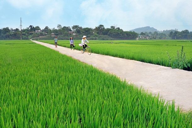 Đến 2025, phấn đấu cả nước có ít nhất 80% số xã đạt chuẩn nông thôn mới