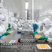 Phòng vệ thương mại cần phải nhanh hơn, mạnh hơn