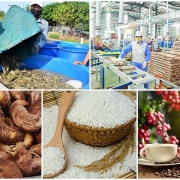 Tin tức kinh tế ngày 31/3: Quý I/2022, xuất siêu nông, lâm, thủy sản tăng gấp 3 lần