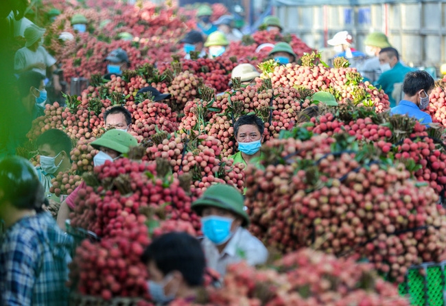 Xuất khẩu nông, lâm, thủy sản tăng 15,6% trong 4 tháng đầu năm