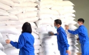 Xuất cấp gạo và hàng dự trữ quốc gia cho 3 tỉnh phòng, chống dịch COVID-19