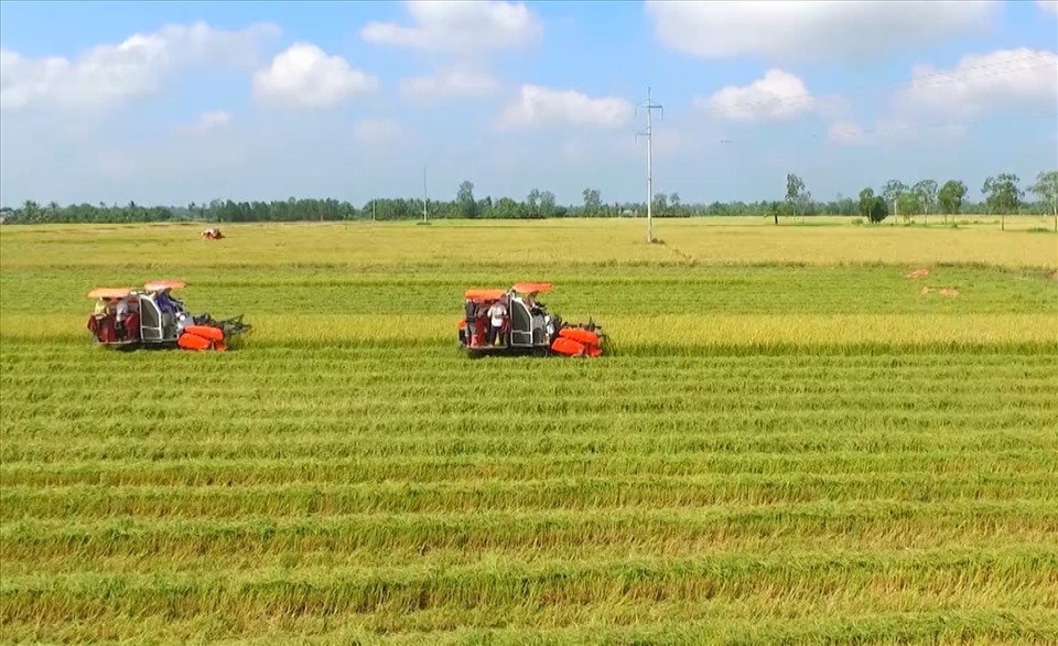 Đừng để người lao động phải “thiệt đơn thiệt kép”
