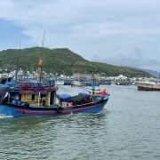 8 nhóm giải pháp để gỡ “thẻ vàng” IUU