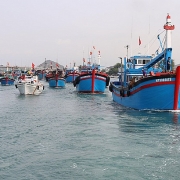 Mở đợt cao điểm kiểm tra, xử lý dứt điểm các tồn tại về khai thác hải sản bất hợp pháp