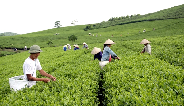 Khẩn trương hoàn thiện thủ tục giao kế hoạch vốn cho các chương trình mục tiêu quốc gia