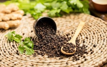 Giá tiêu hôm nay 27/2: Đi ngang tại thị trường trong nước