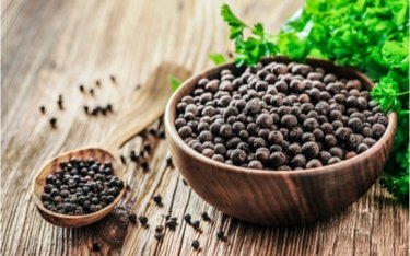 Giá tiêu hôm nay 26/3: Giữ ổn định ở các vùng trọng điểm