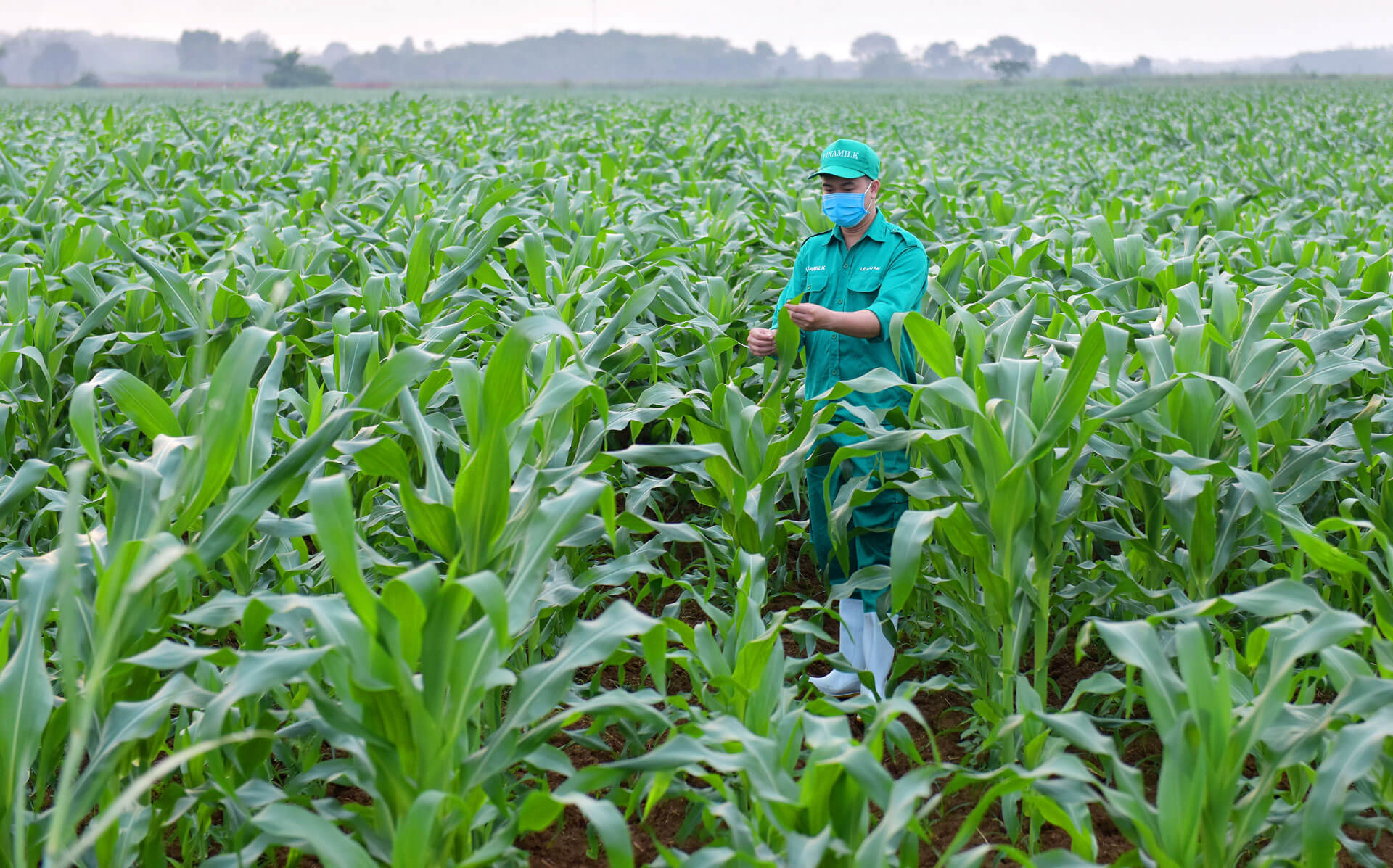Vinamilk chia sẻ mô hình “Green Farm” - Bước tiến về phát triển bền vững của ngành sữa tại Hội nghị Toàn cầu