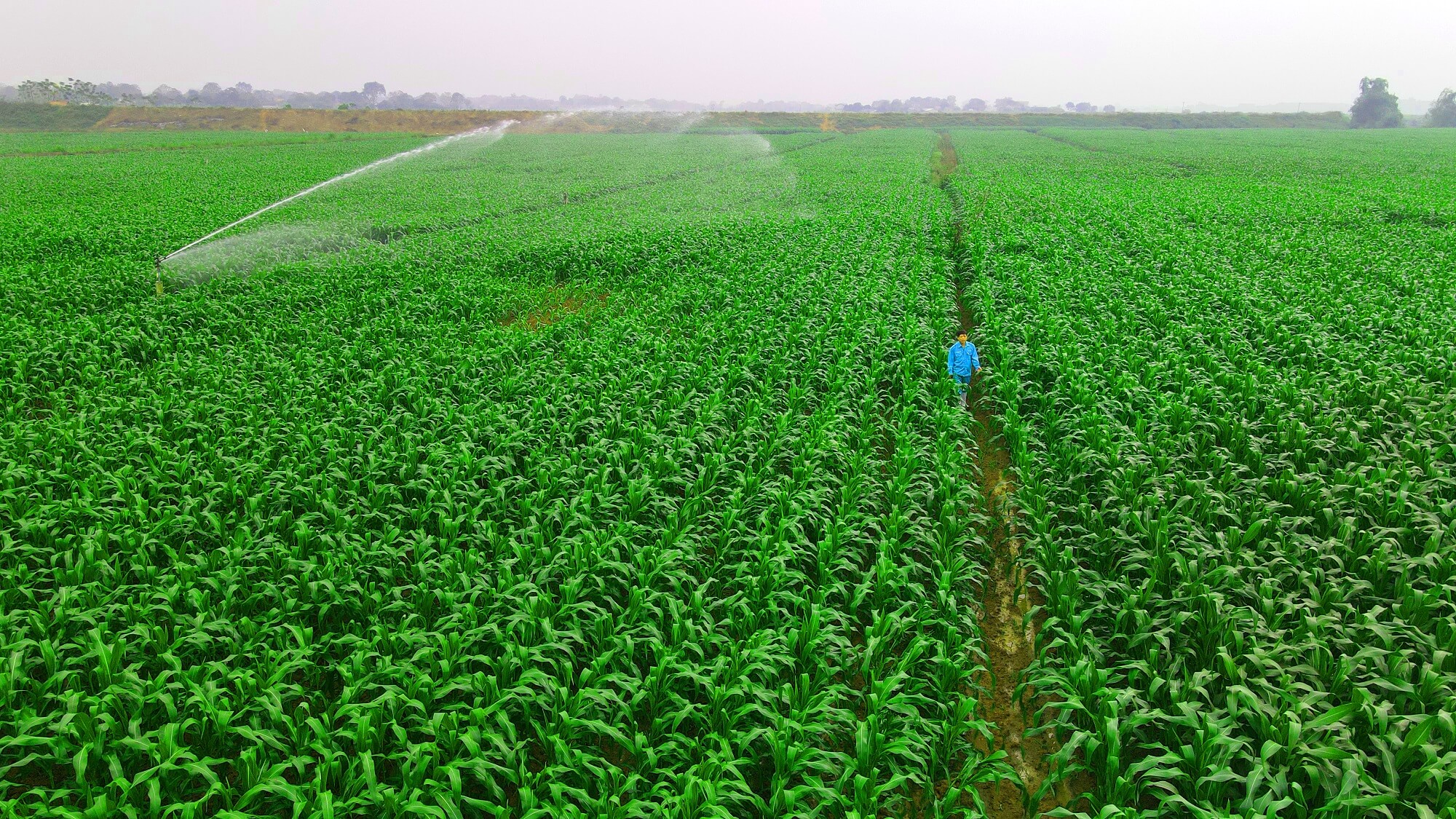 Vinamilk chia sẻ mô hình “Green Farm” - Bước tiến về phát triển bền vững của ngành sữa tại Hội nghị Toàn cầu